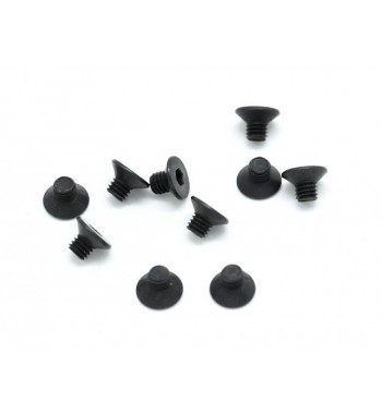 SWORKz M3x3mm FH/ST Screw