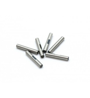 SWORKz S350 Serie CVD Pin M2.5x14.8mm(6pc)