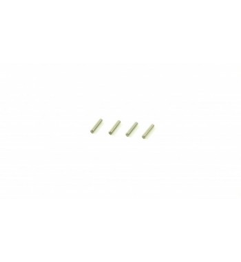 SWORKz Pin M2.0x10mm