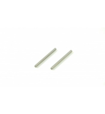 SWORKz Rear Hub Carrier Hing pin (2pc)