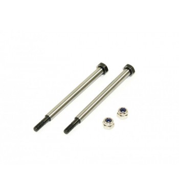 SWORKz Rear Hub Carriers Hing Pin with Nut S350