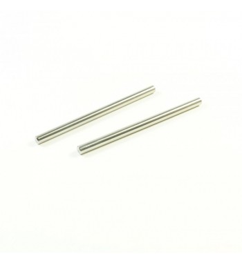 SWORKz Lower Arm Hinge Pin (68.5mm)(2pc)